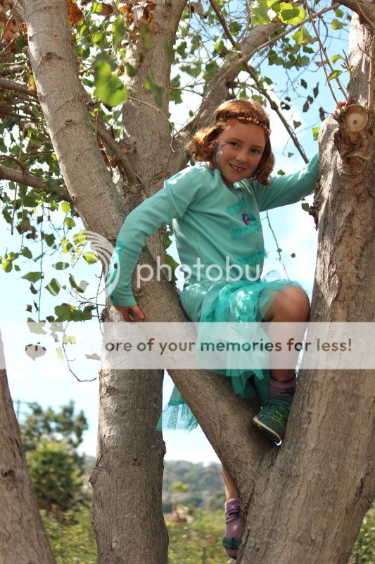  photo 2012_10_21_farm_58_zps5dada366.jpg