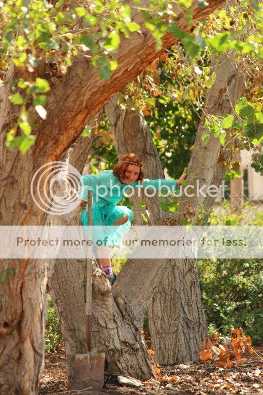  photo 2012_10_21_farm_61_zps4ef4ecfe.jpg