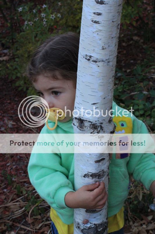 photo akmal_arrowhead_05_zps5366e89c.jpg