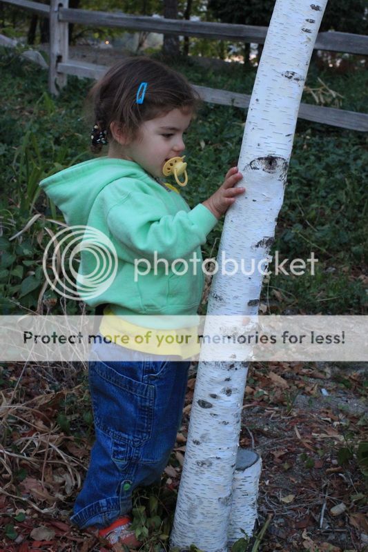 photo akmal_arrowhead_06_zpsef39bcfb.jpg