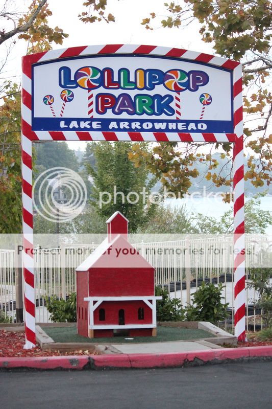 photo akmal_arrowhead_42_zpsf9f3bbe5.jpg