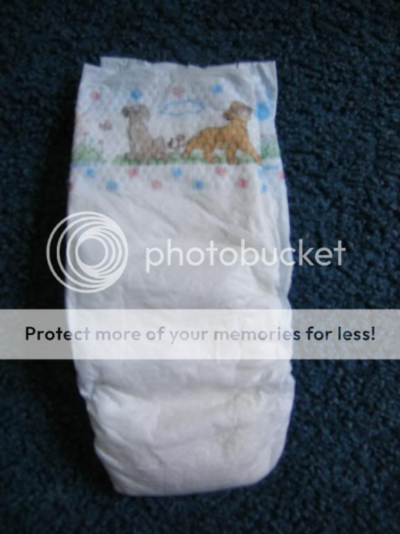 Lion King Huggies Size 6 Front 2006 Photo by HuggiesSize6 Photobucket