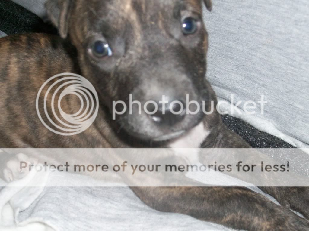 fotos fotos