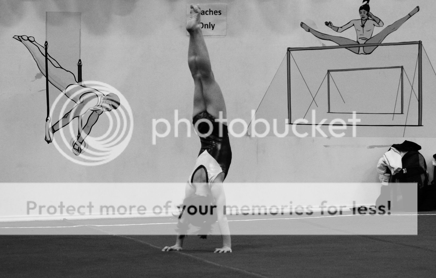 photo IMG_6294.jpg