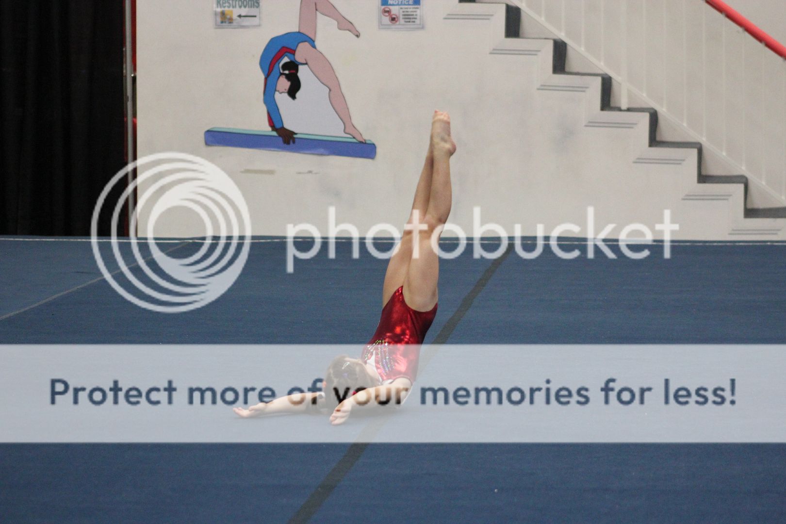 photo IMG_6309.jpg